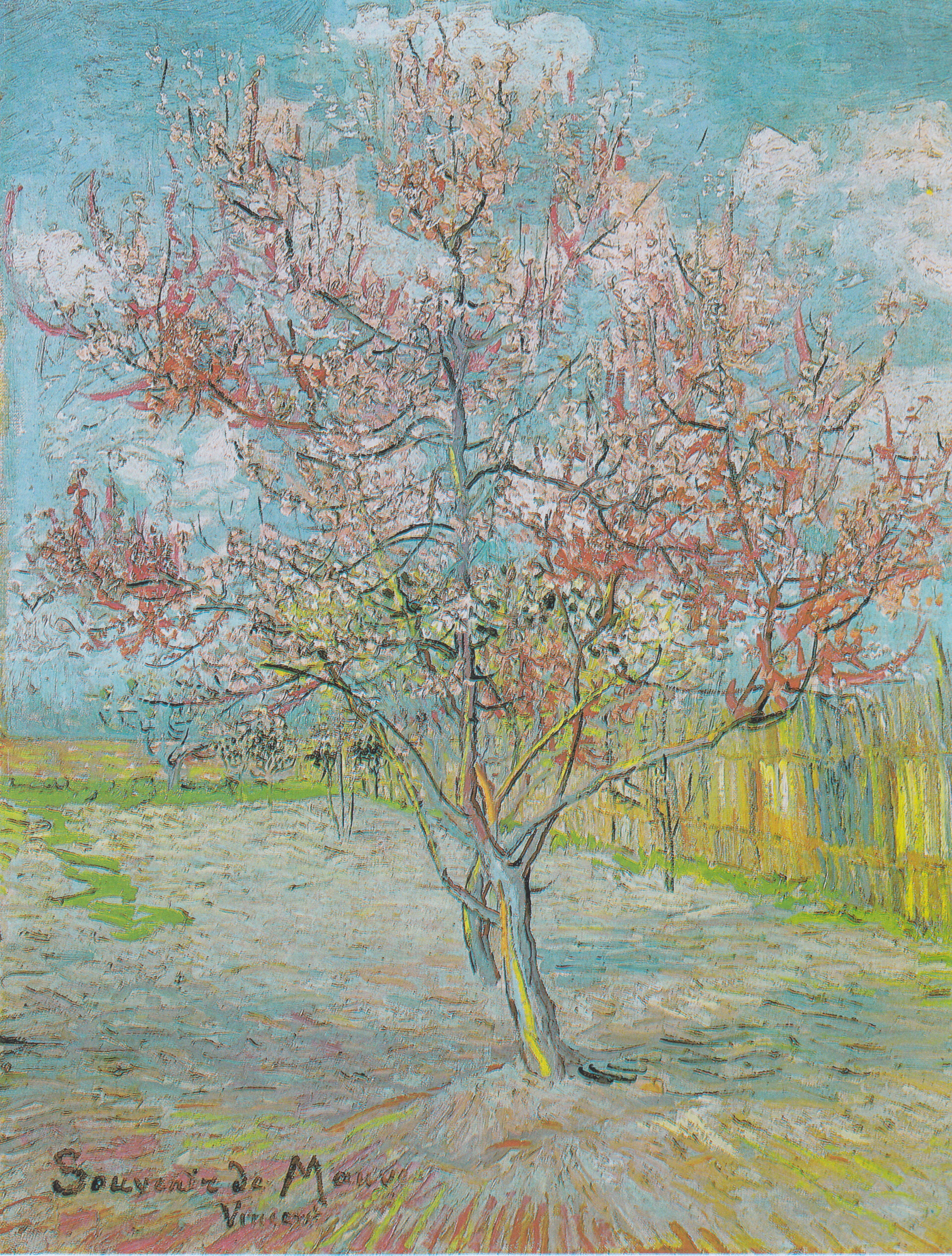 Flowering orchard, Flowering Orchards